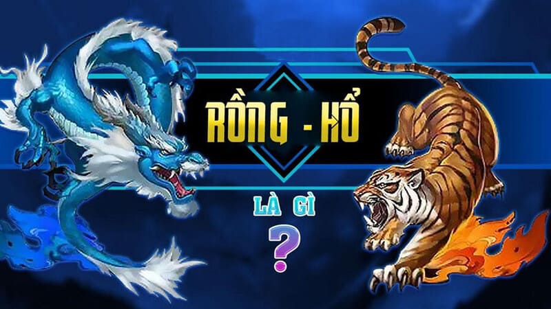 Rồng Hổ Kabet là gì?